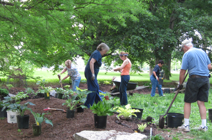 people planting a garden